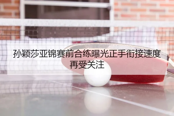 孙颖莎亚锦赛前合练曝光正手衔接速度再受关注